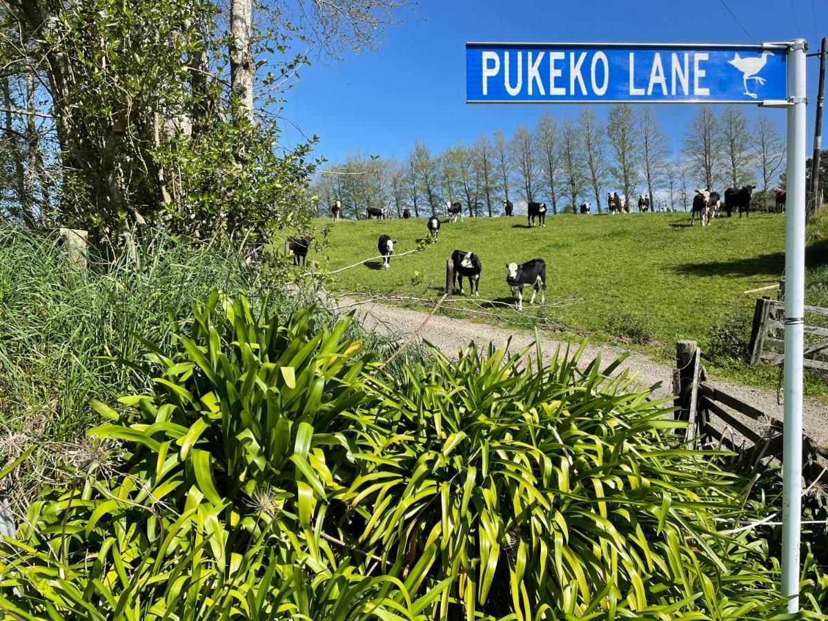 Pukeko Lane Leilighet Tauranga Eksteriør bilde